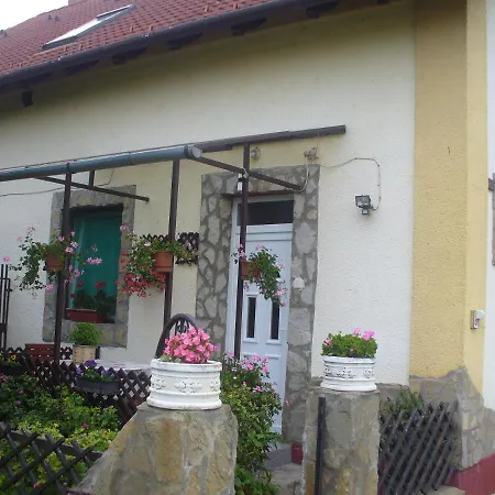 Pleiveisz Apartment